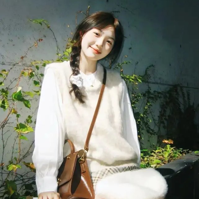 阿蒂米德的膝盖